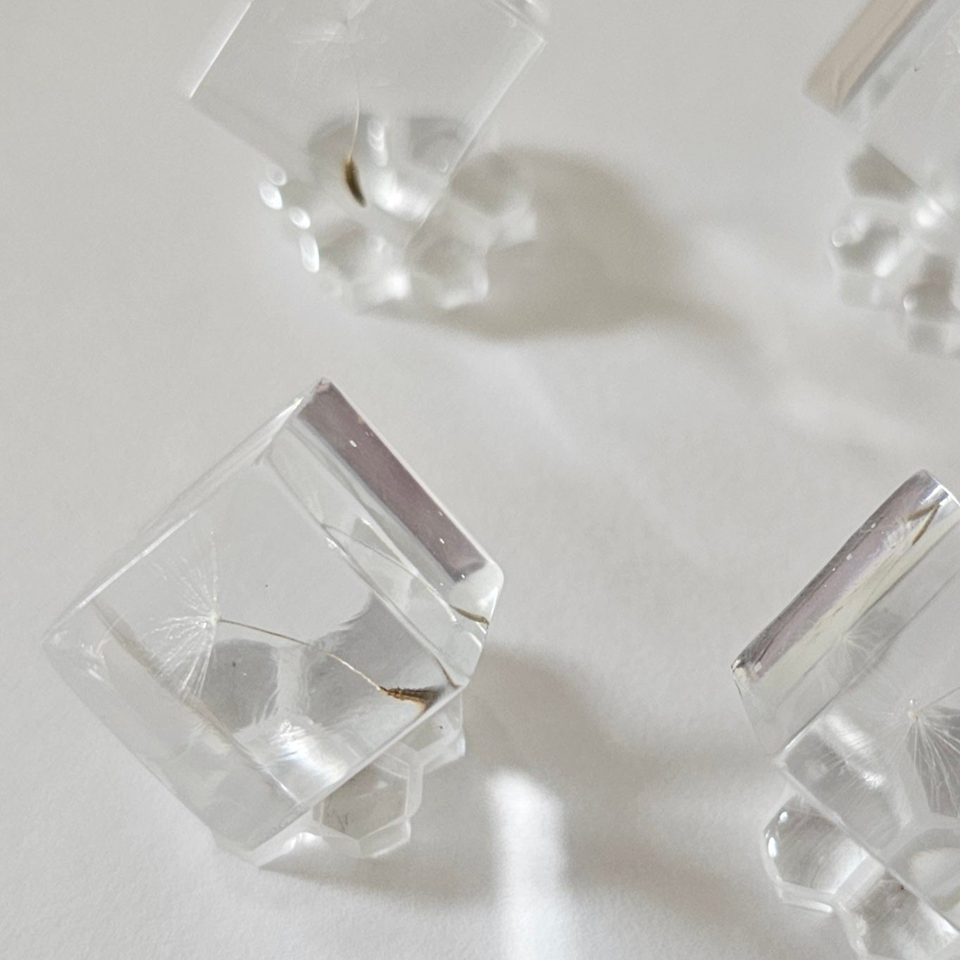 Clear crystal cubes with single dandelion seed on a light gray background