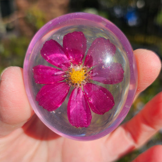 Dazzler Cosmos Flower - Worry Stone
