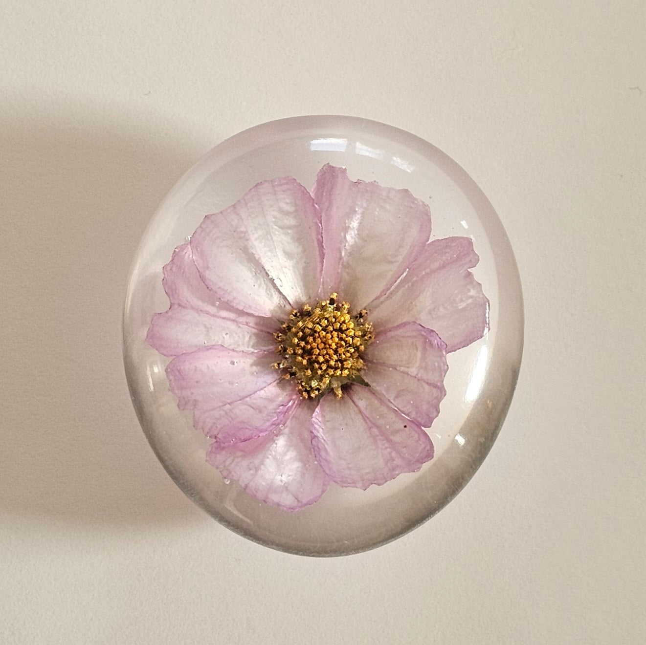 004 Pink & White Cosmos Flower - Worry Stone