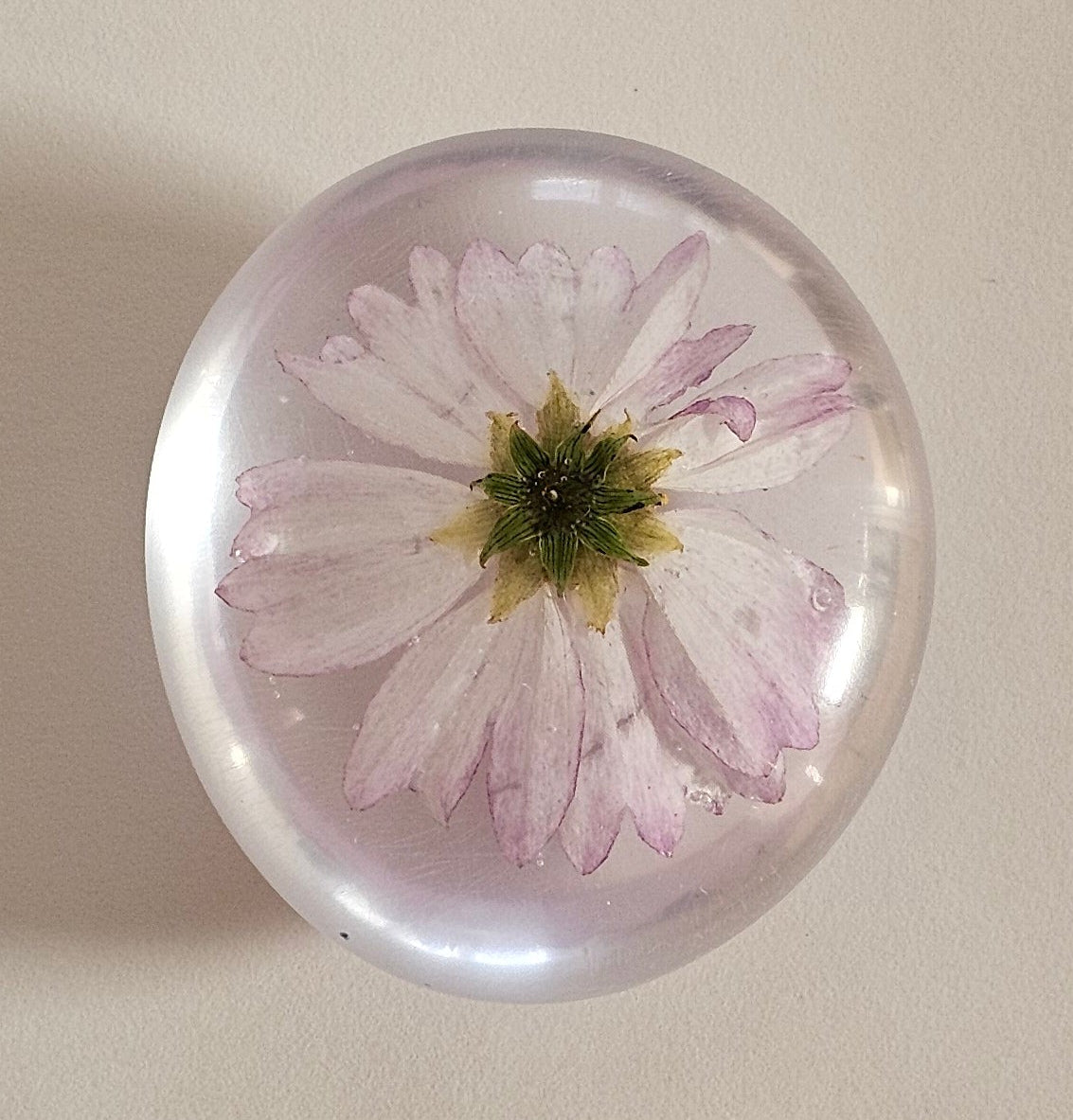 004 Pink & White Cosmos Flower - Worry Stone