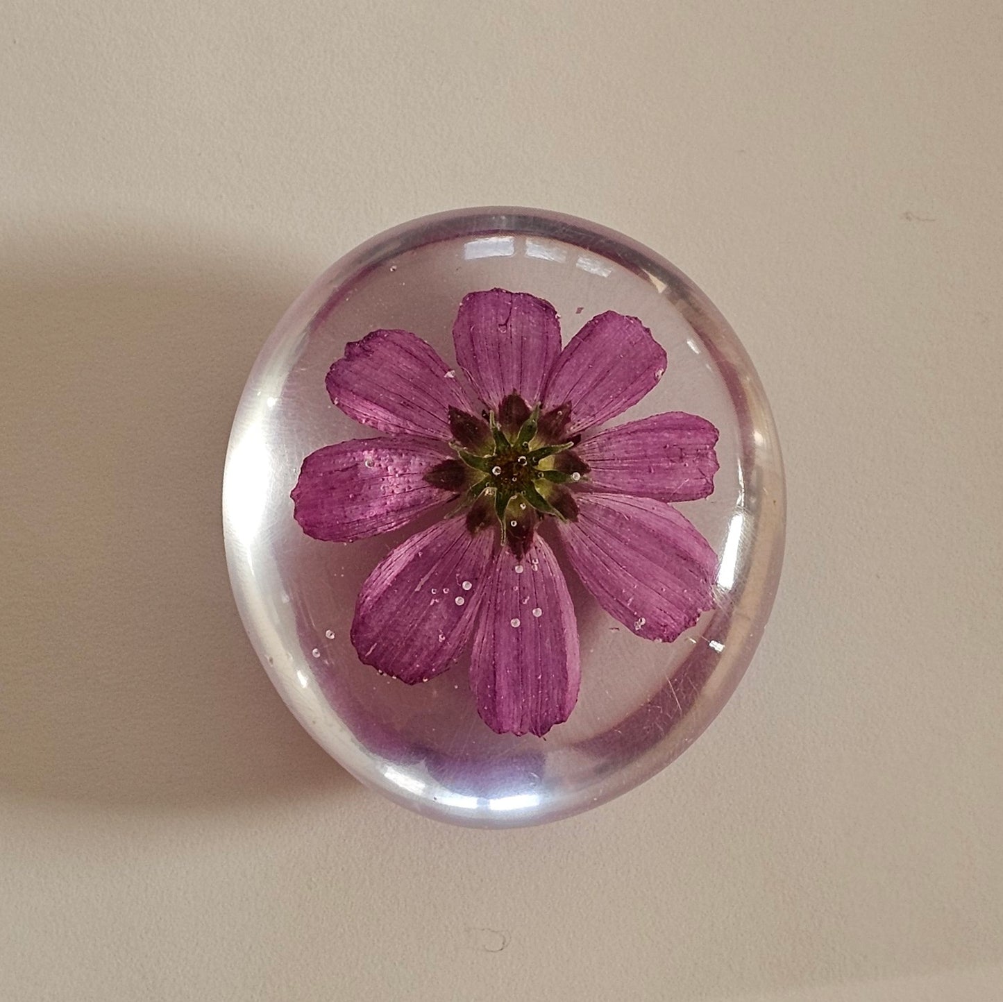 Dazzler Cosmos Flower - Worry Stone