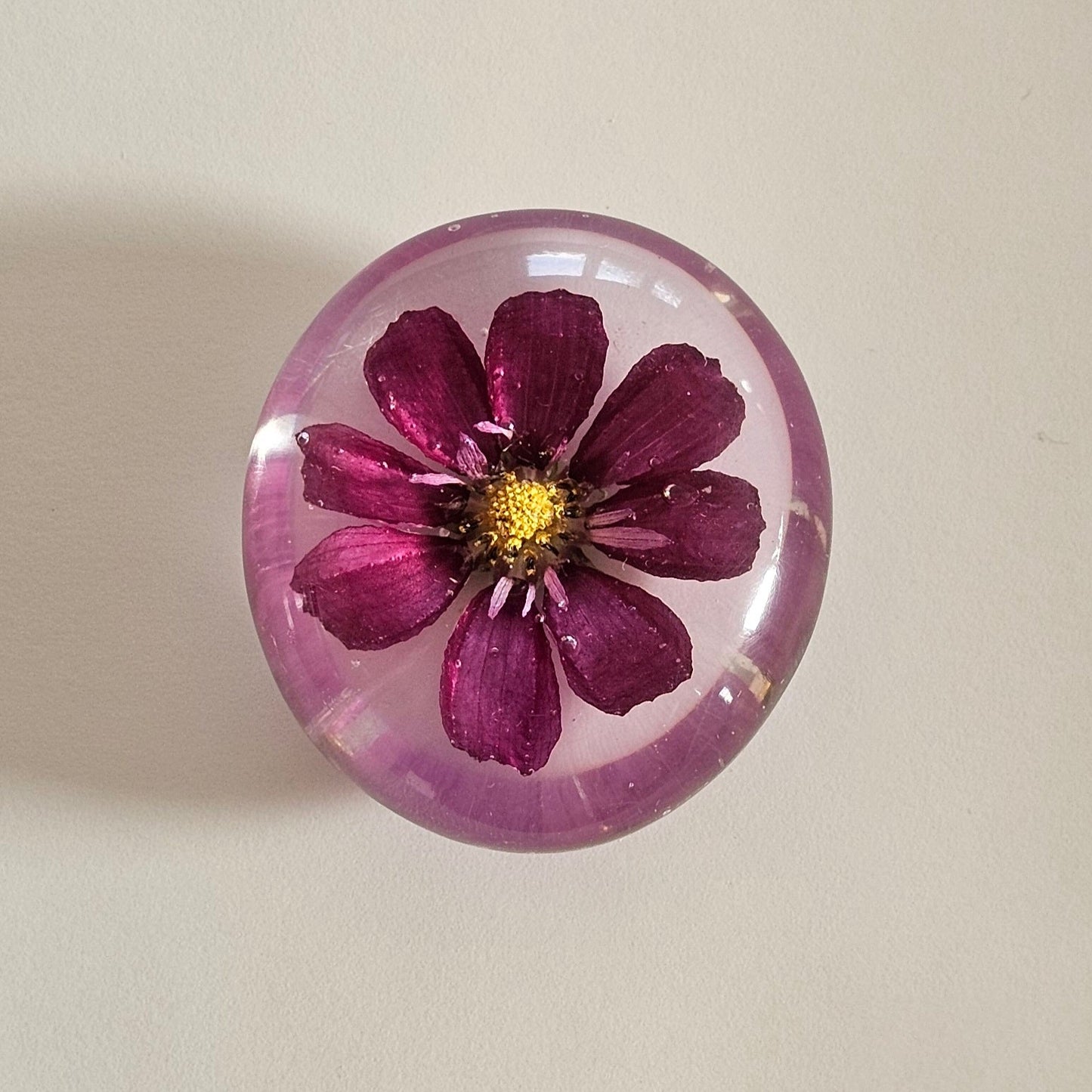 Dazzler Cosmos Flower - Worry Stone