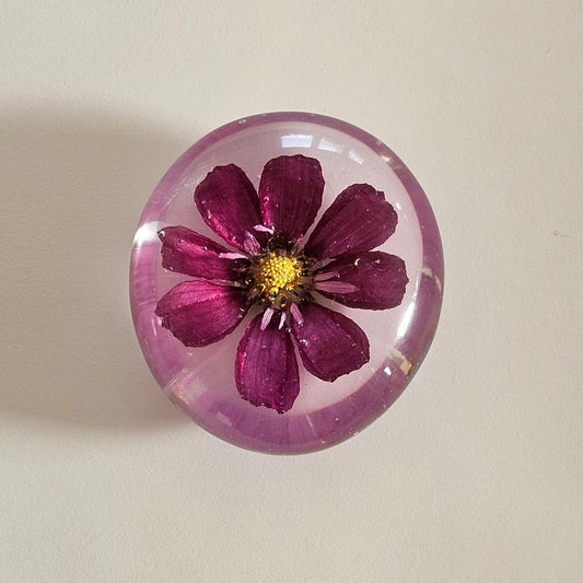 Dazzler Cosmos Flower - Worry Stone