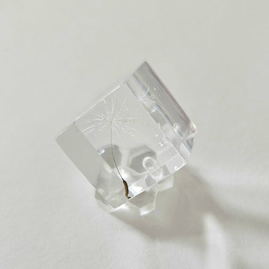 Clear crystal cube with single dandelion seed on a light gray background