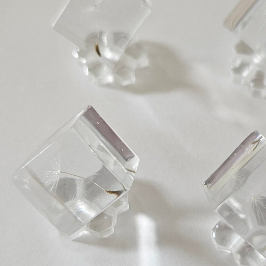 Clear crystal cubes with single dandelion seed on a light gray background